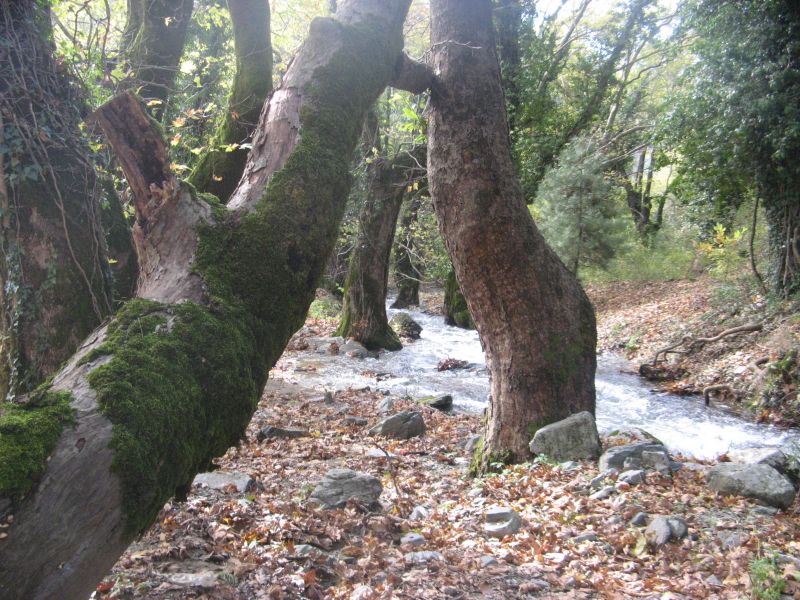 KazdaÃƒÂƒÃ‚Â„ÃƒÂ‚Ã‚ÂŸlarÃƒÂƒÃ‚Â„ÃƒÂ‚Ã‚Â± kampÃƒÂƒÃ‚Â„ÃƒÂ‚Ã‚Â±mÃƒÂƒÃ‚Â„ÃƒÂ‚Ã‚Â±z  29-30-31 Ekim 2010 