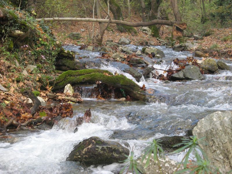 KazdaÃƒÂƒÃ‚Â„ÃƒÂ‚Ã‚ÂŸlarÃƒÂƒÃ‚Â„ÃƒÂ‚Ã‚Â± kampÃƒÂƒÃ‚Â„ÃƒÂ‚Ã‚Â±mÃƒÂƒÃ‚Â„ÃƒÂ‚Ã‚Â±z  29-30-31 Ekim 2010 