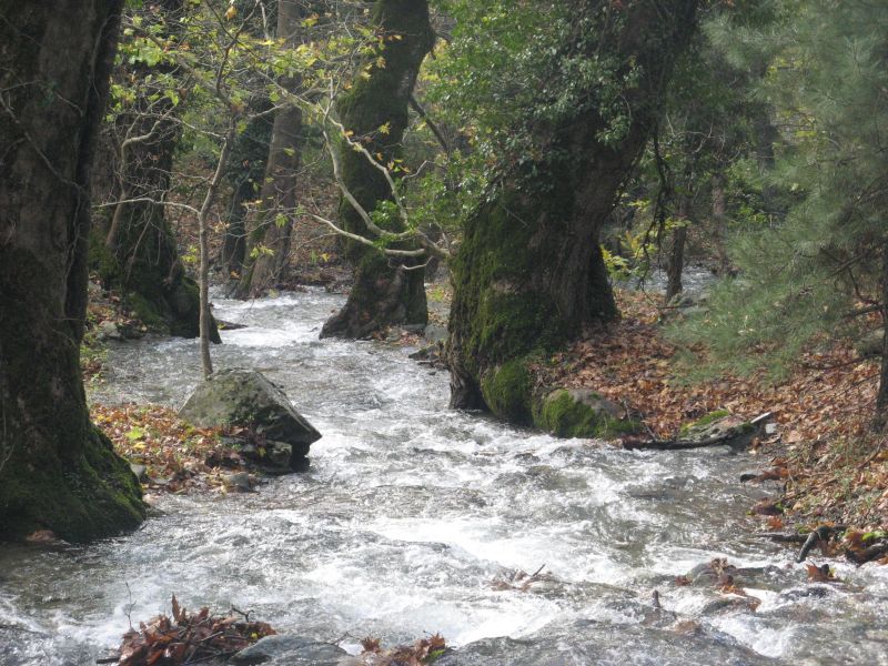 KazdaÃƒÂƒÃ‚Â„ÃƒÂ‚Ã‚ÂŸlarÃƒÂƒÃ‚Â„ÃƒÂ‚Ã‚Â± kampÃƒÂƒÃ‚Â„ÃƒÂ‚Ã‚Â±mÃƒÂƒÃ‚Â„ÃƒÂ‚Ã‚Â±z  29-30-31 Ekim 2010 