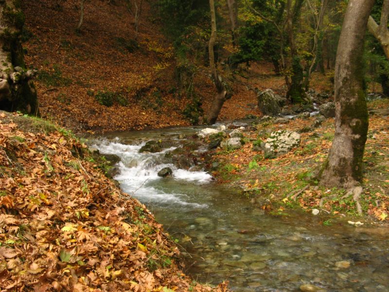 KazdaÃƒÂƒÃ‚Â„ÃƒÂ‚Ã‚ÂŸlarÃƒÂƒÃ‚Â„ÃƒÂ‚Ã‚Â± kampÃƒÂƒÃ‚Â„ÃƒÂ‚Ã‚Â±mÃƒÂƒÃ‚Â„ÃƒÂ‚Ã‚Â±z  29-30-31 Ekim 2010 