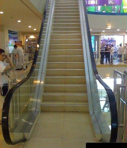 KF 0066 Its-a-trap.jpg