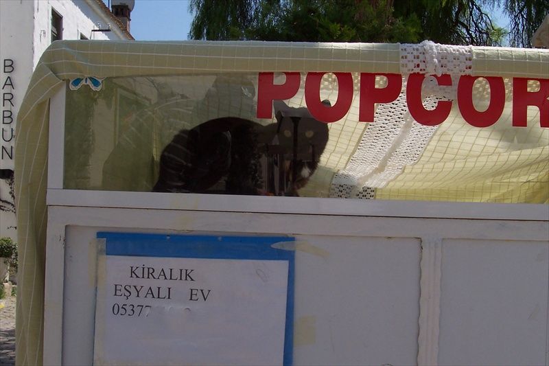 KiralÃƒÂƒÃ‚Â„ÃƒÂ‚Ã‚Â±k ev.jpg