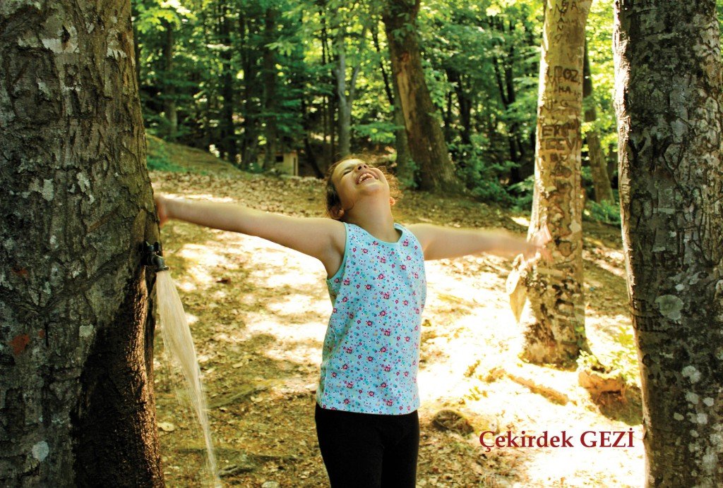 KirazlÃƒÂƒÃ‚Â„ÃƒÂ‚Ã‚Â± (DiÃƒÂƒÃ‚Â„ÃƒÂ‚Ã‚ÂŸer10).jpg