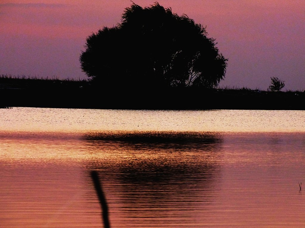 KopyasÃƒÂƒÃ‚Â„ÃƒÂ‚Ã‚Â± DSCF0928.jpg