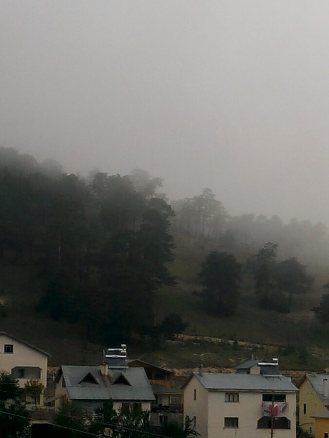 koyulhisar eÃƒÂƒÃ‚Â„ÃƒÂ‚Ã‚ÂŸri ÃƒÂƒÃ‚ÂƒÃƒÂ‚Ã‚Â§imen yaylasÃƒÂƒÃ‚Â„ÃƒÂ‚Ã‚Â±... (24).jpg