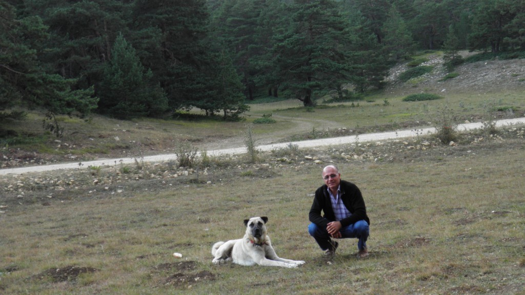 koyulhisar eÃƒÂƒÃ‚Â„ÃƒÂ‚Ã‚ÂŸriÃƒÂƒÃ‚ÂƒÃƒÂ‚Ã‚Â§imen yaylasÃƒÂƒÃ‚Â„ÃƒÂ‚Ã‚Â± (11).JPG