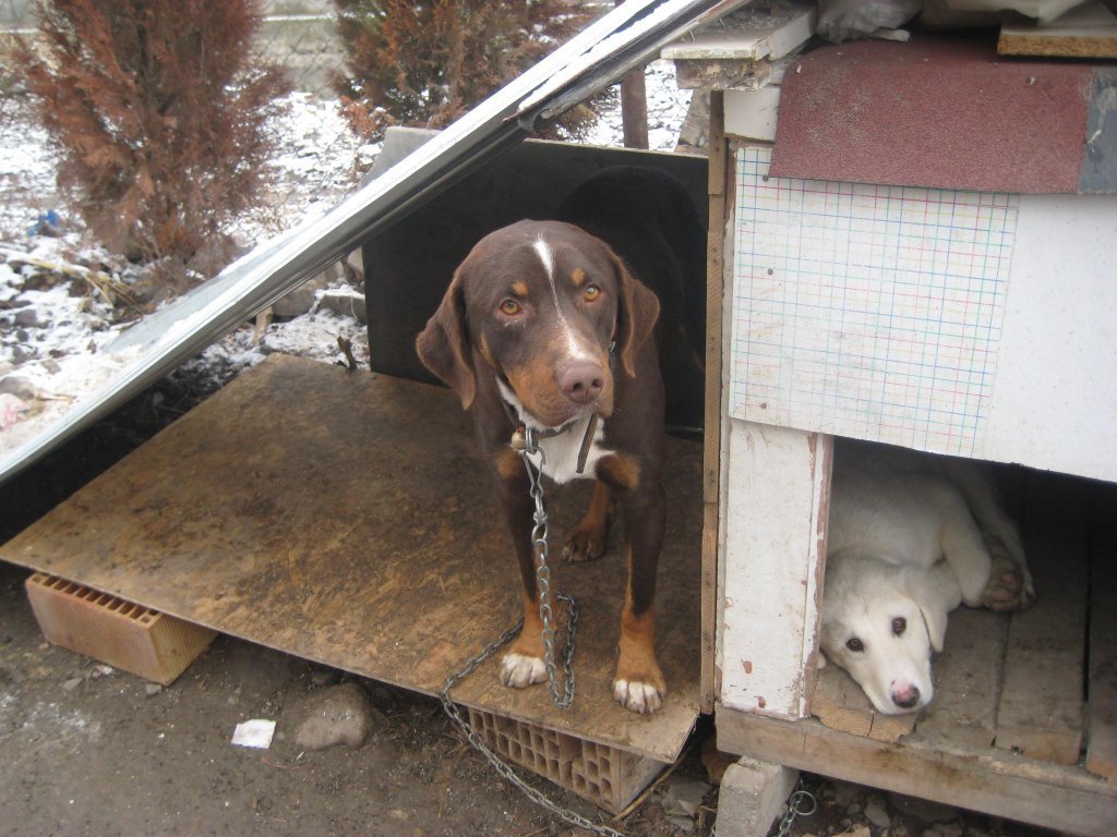 kuÃƒÂƒÃ‚Â…ÃƒÂ‚Ã‚ÂŸadasi 036.jpg