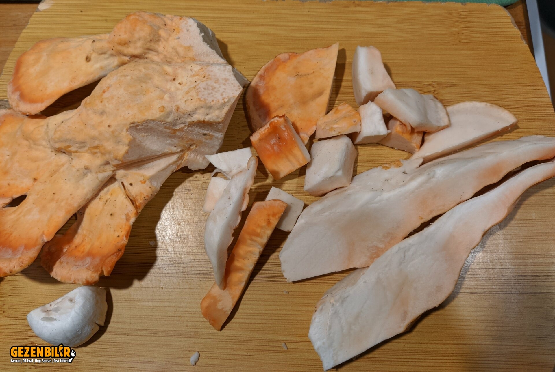 Kükürt Mantarı_Dilimlerken.jpg