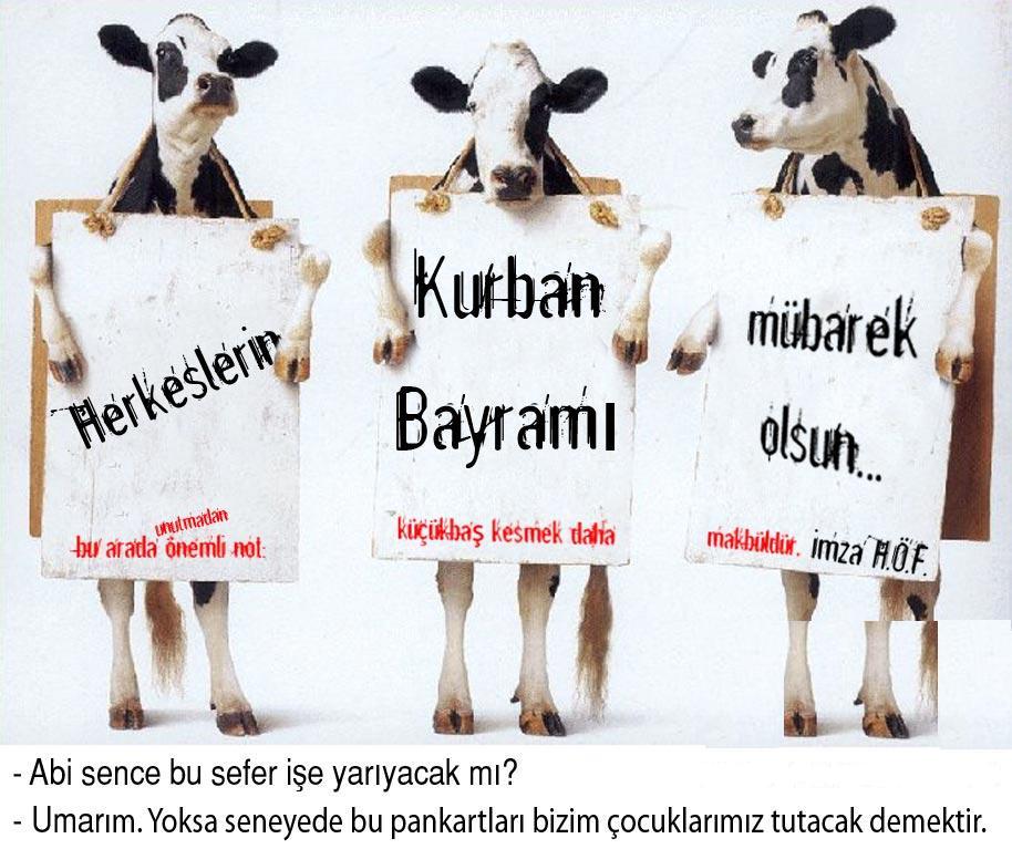 kurban-bayramÃƒÂƒÃ‚Â„ÃƒÂ‚Ã‚Â±-karikaturleri-1.jpg