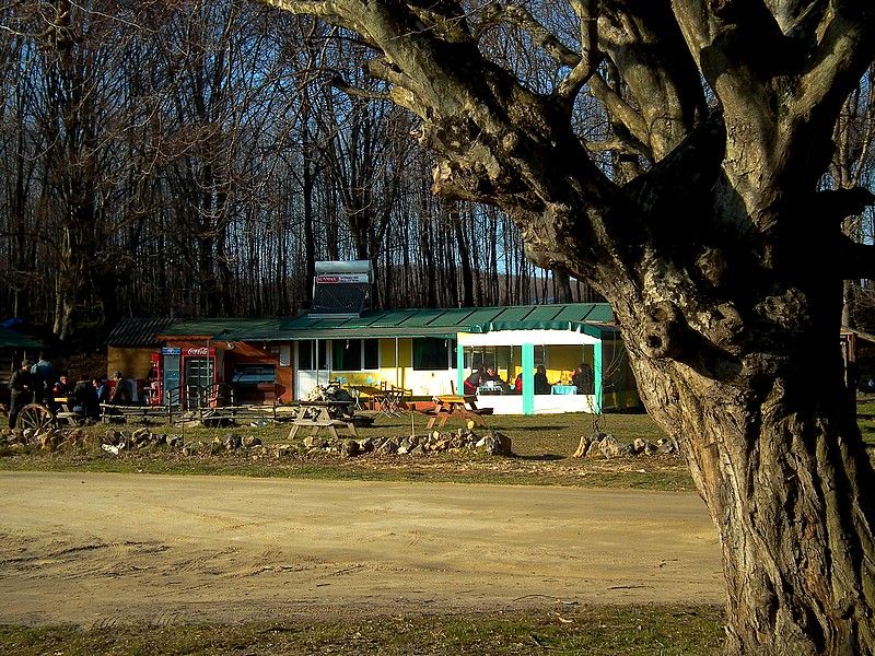 Laladere Et BalÃƒÂƒÃ‚Â„ÃƒÂ‚Ã‚Â±k LokantasÃƒÂƒÃ‚Â„ÃƒÂ‚Ã‚Â±.jpg