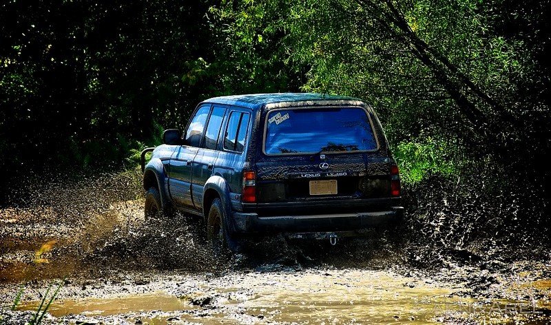 Land Cruiser VX80(5).jpg