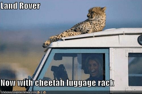 Land Defender safari.jpg