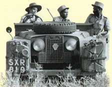 land5.jpg