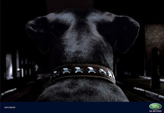 Landrovercollar.jpg