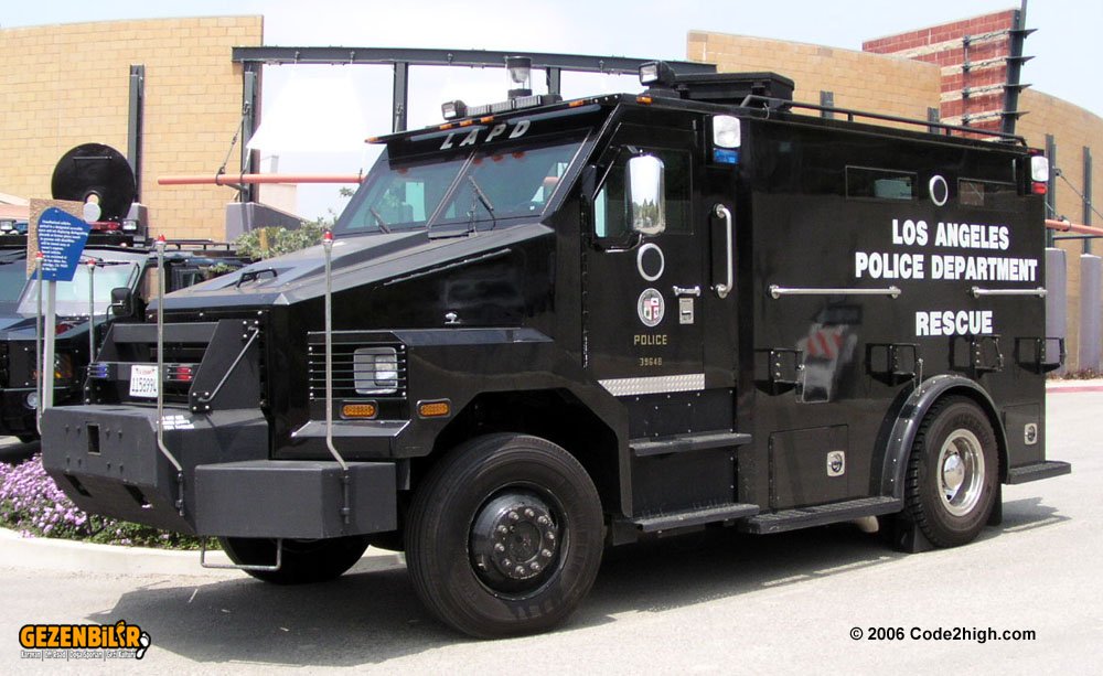 lapd_bear_10.jpg
