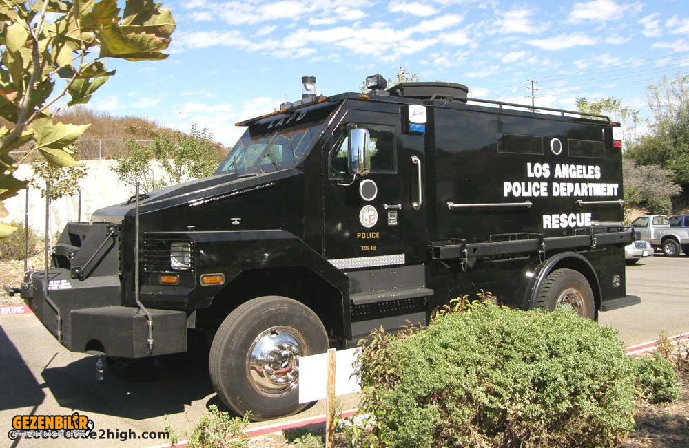 lapd_bear_11.jpg