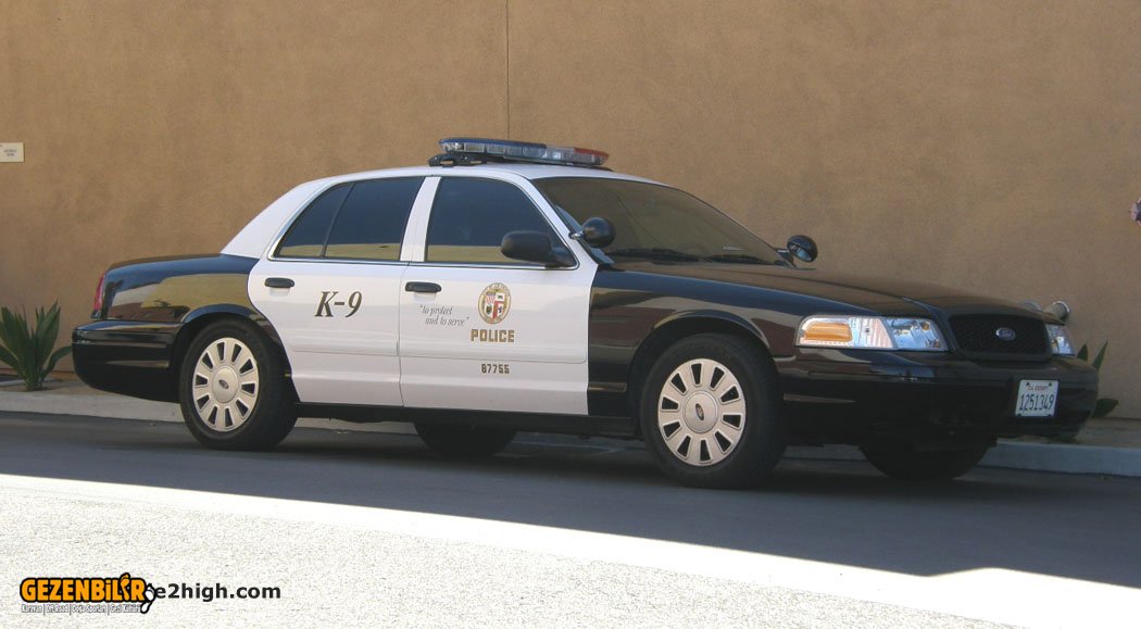 lapd_k9_6.jpg