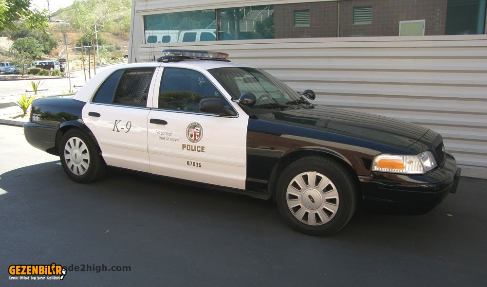 lapd_k9_7.jpg