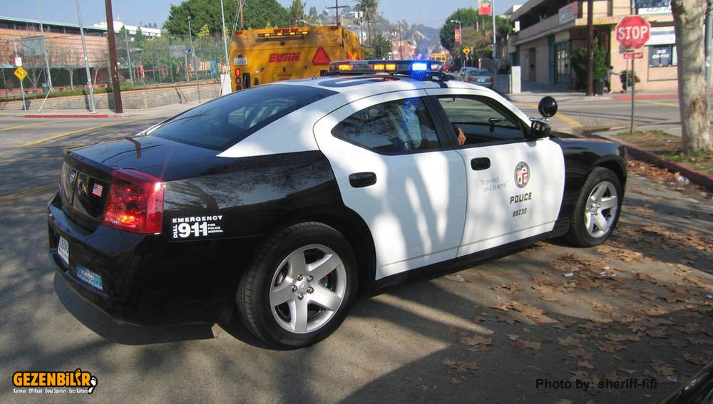 lapd_p6_dc.jpg