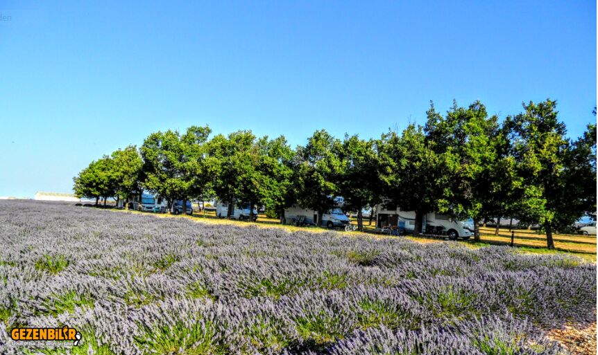 LavantaKaaravan park.PNG