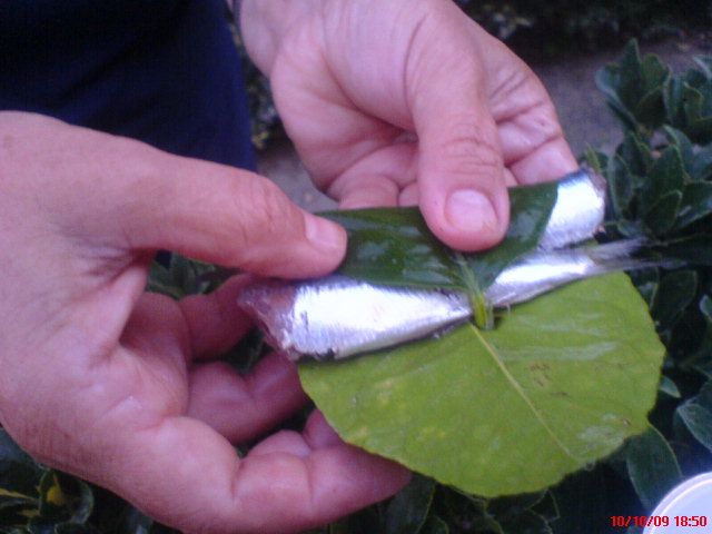Limon YapraklÃƒÂƒÃ‚Â„ÃƒÂ‚Ã‚Â± ÃƒÂƒÃ‚Â„ÃƒÂ‚Ã‚Â±zgara 02.jpg
