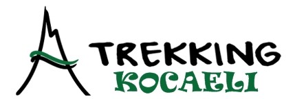 LOGO TREKKO 4.jpg