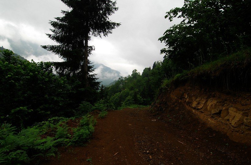 Macahel-kÃƒÂƒÃ‚ÂƒÃƒÂ‚Ã‚Â¶y iÃƒÂƒÃ‚ÂƒÃƒÂ‚Ã‚Â§inden yol.jpg