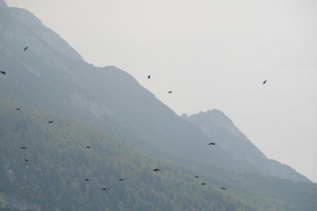 malcesine canon 101.JPG