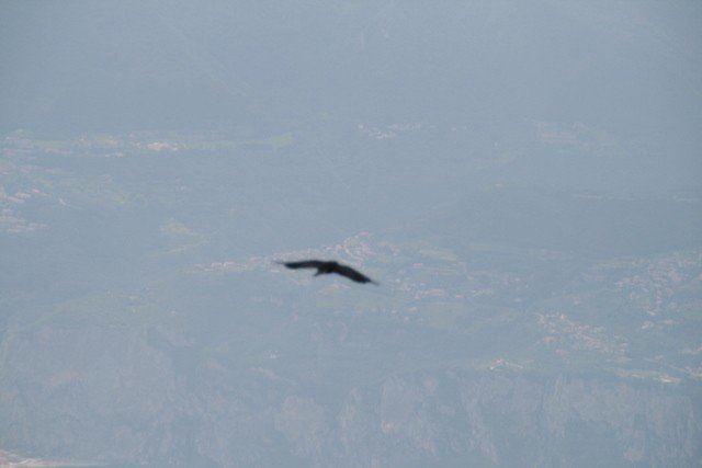 malcesine canon 105.JPG