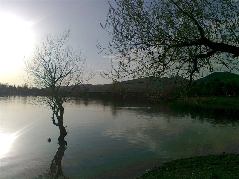 Mavi gÃƒÂƒÃ‚ÂƒÃƒÂ‚Ã‚Â¶l3.jpg