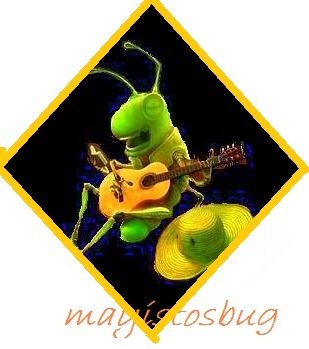 may?stosbug logoOw.jpg