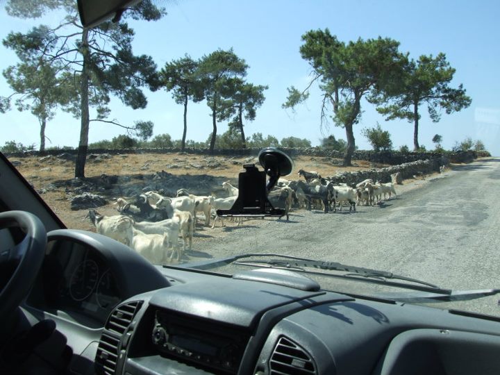 MazÃƒÂƒÃ‚Â„ÃƒÂ‚Ã‚Â± ÃƒÂƒÃ‚ÂƒÃƒÂ‚Ã‚Â§ÃƒÂƒÃ‚Â„ÃƒÂ‚Ã‚Â±kÃƒÂƒÃ‚Â„ÃƒÂ‚Ã‚Â±ÃƒÂƒÃ‚Â…ÃƒÂ‚Ã‚ÂŸÃƒÂƒÃ‚Â„ÃƒÂ‚Ã‚Â