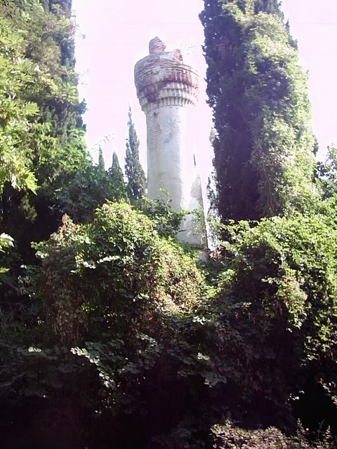 mini-PIC_0029.jpg