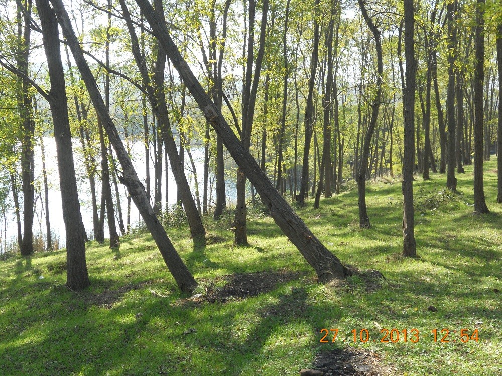 MiniDSCN4493.jpg