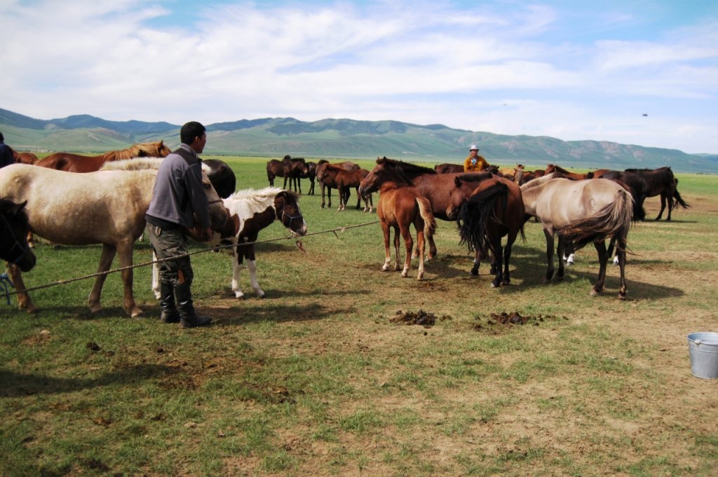 MoÃƒÂƒÃ‚Â„ÃƒÂ‚Ã‚ÂŸolistan - Orhun Vadisi3.jpg