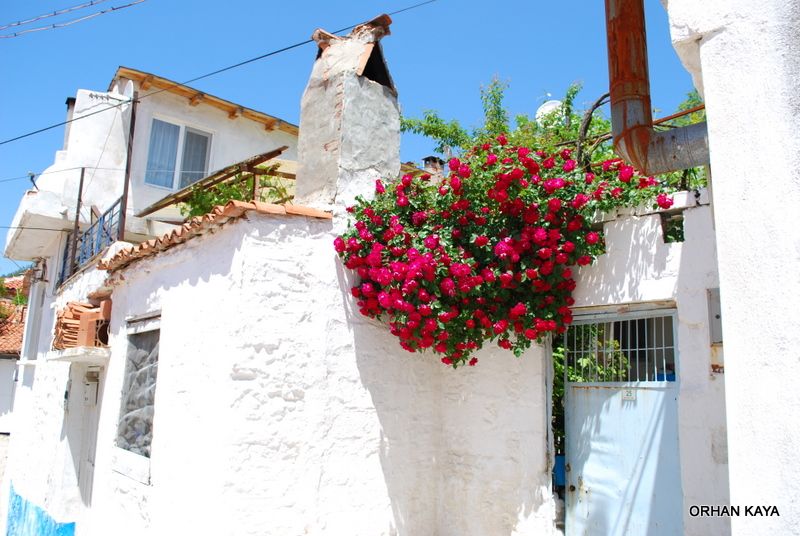 MuÃƒÂƒÃ‚Â„ÃƒÂ‚Ã‚ÂŸla sokaklarÃƒÂƒÃ‚Â„ÃƒÂ‚Ã‚Â± 036.jpg