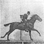 muybridge-galloping-horse.jpg