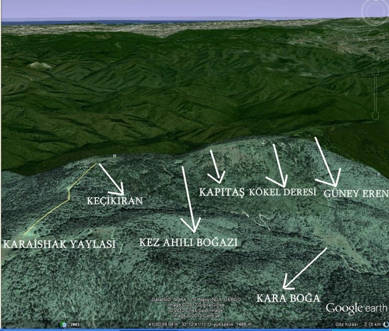 NCEDERE DAÃƒÂƒÃ‚Â„ÃƒÂ‚Ã‚ÂžLARI2.jpg