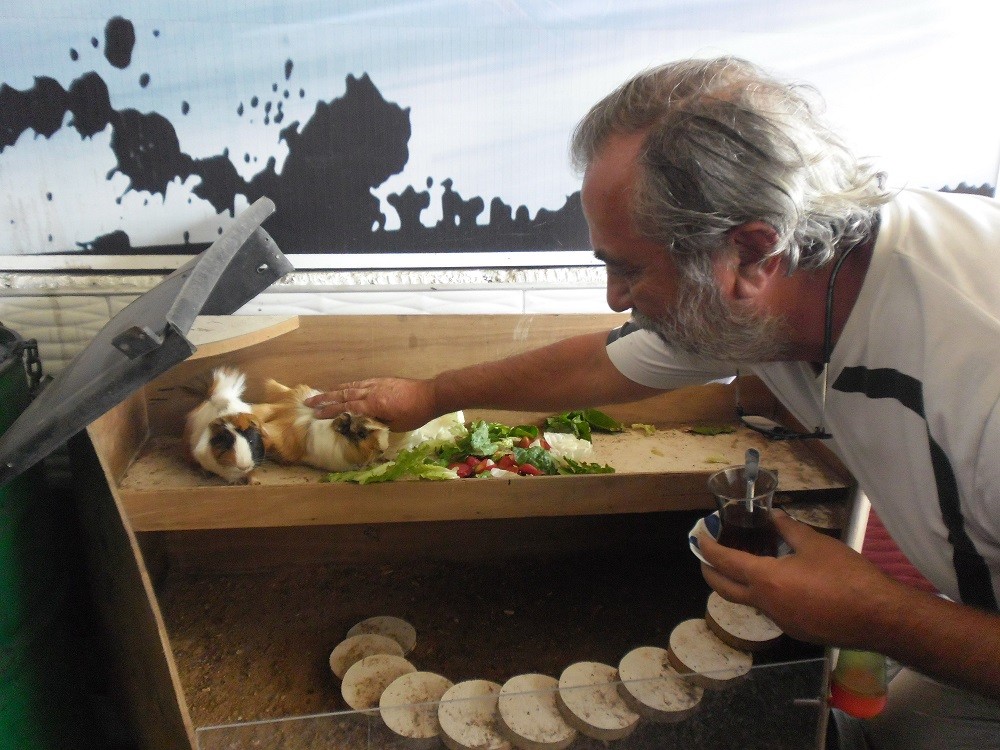 Ne kÃƒÂƒÃ‚ÂƒÃƒÂ‚Ã‚Â¶pek, ne kedi)).JPG