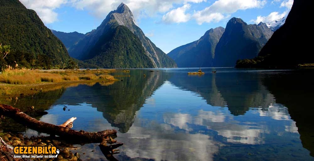 new-zealand-cruises-01.jpg