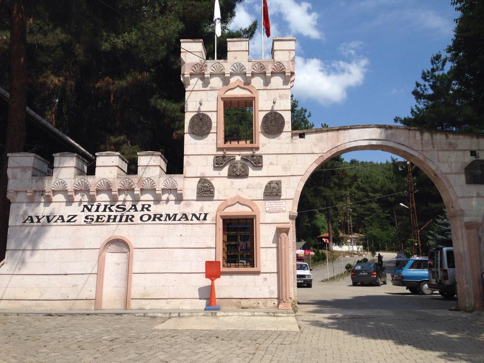niksar ayvaz orman ÃƒÂƒÃ‚Â…ÃƒÂ‚Ã‚ÂŸehri.jpg