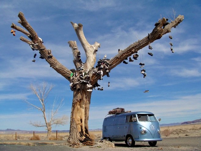 NV Shoe Tree.jpg