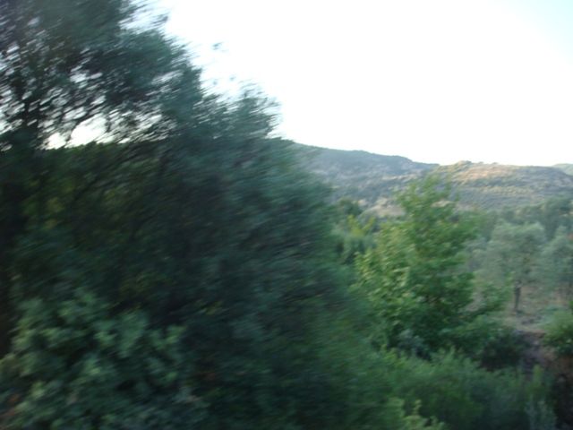 offroad assos 110.jpg