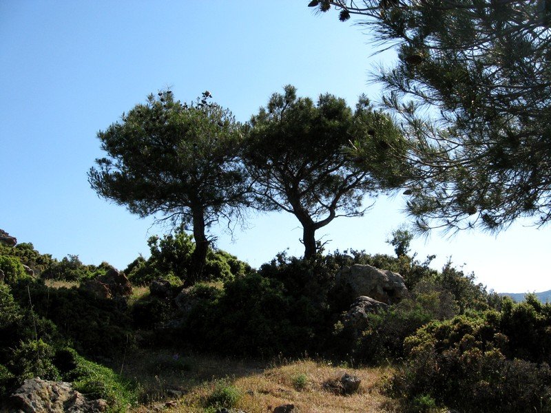 Onur - GÃƒÂƒÃ‚ÂƒÃƒÂ‚Ã‚Â¼vercin 10.05.09 013.jpg