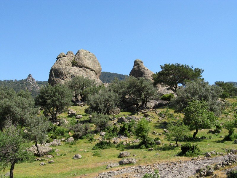 Onur - GÃƒÂƒÃ‚ÂƒÃƒÂ‚Ã‚Â¼vercin 10.05.09 029.jpg