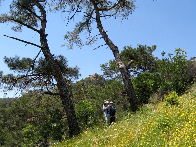 Onur - GÃƒÂƒÃ‚ÂƒÃƒÂ‚Ã‚Â¼vercin 10.05.09 053.jpg