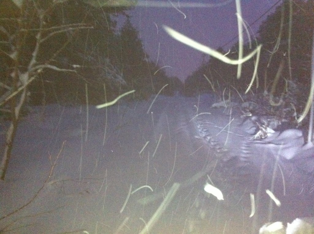 ORMANDA KIÃƒÂƒÃ‚Â…ÃƒÂ‚Ã‚Âž 009.jpg