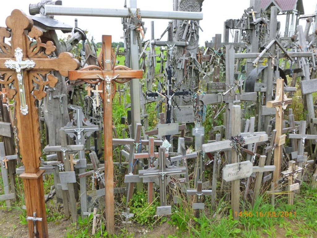 P1000442 (Large).jpg