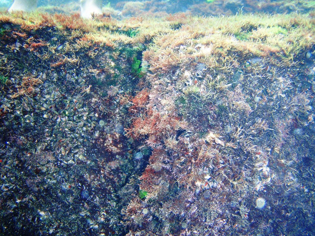 P1010066.jpg