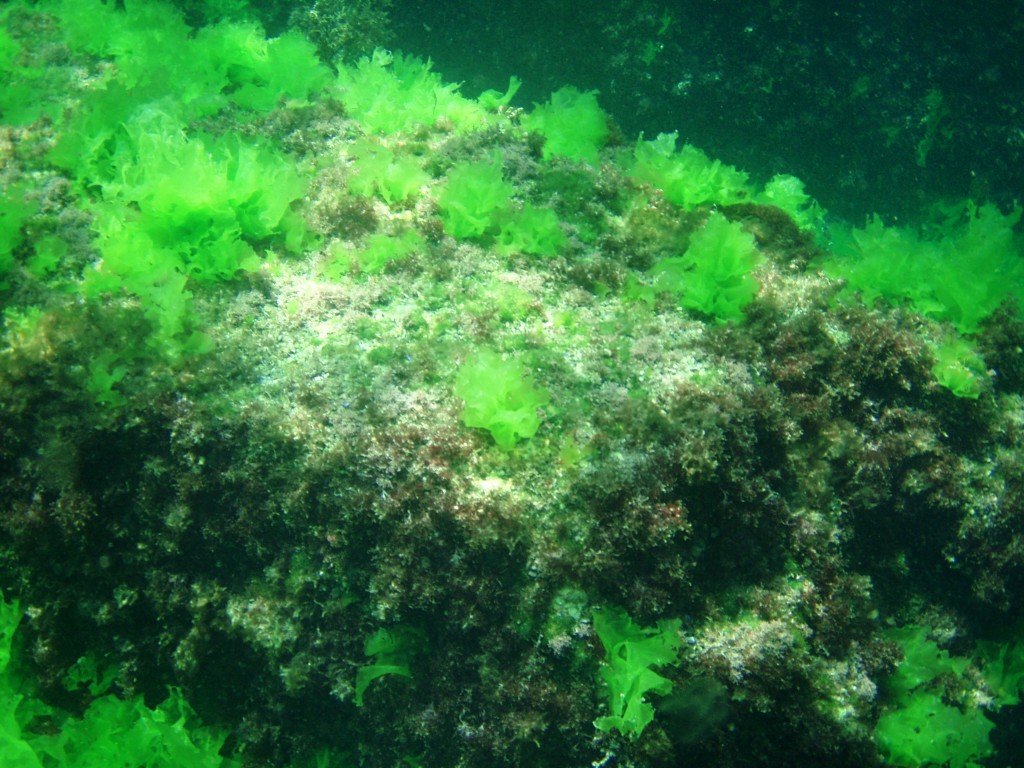 P1010077.jpg